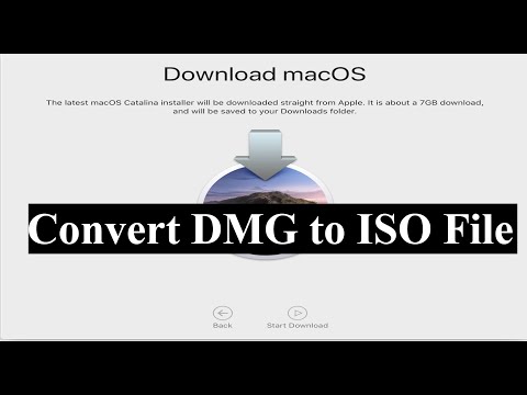 dmg online converter